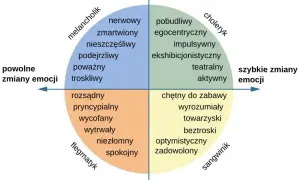 Co to jest osobowość człowieka? Kluczowe cechy i ich znaczenie