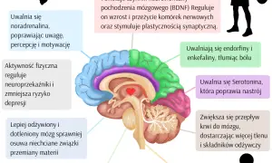 Jak aktywność fizyczna wpływa na zdrowie psychiczne: korzyści i naukowe dowody