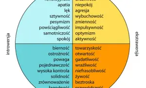 4 typy osobowości – jak je rozpoznać i wykorzystać w codziennym życiu