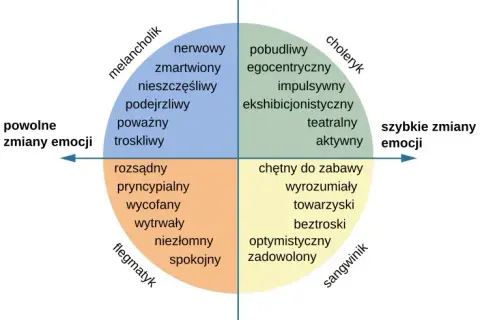 Co to jest osobowość człowieka? Kluczowe cechy i ich znaczenie
