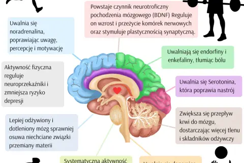 Jak aktywność fizyczna wpływa na zdrowie psychiczne: korzyści i naukowe dowody