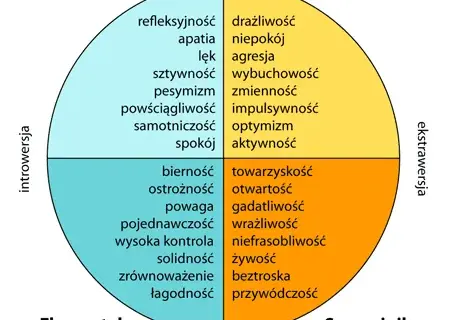 4 typy osobowości – jak je rozpoznać i wykorzystać w codziennym życiu