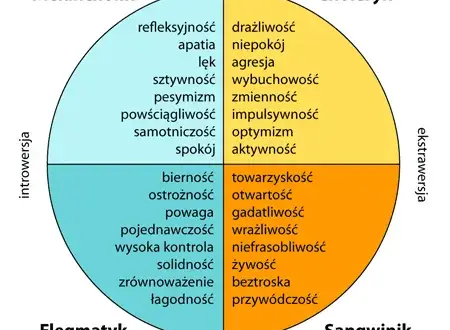 4 typy osobowości – jak je rozpoznać i wykorzystać w codziennym życiu