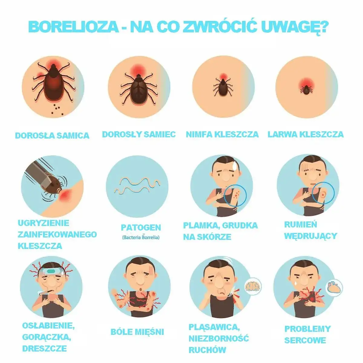 Zdjęcie Borelioza objawy psychiczne: jak choroba wpływa na zdrowie psychiczne i co robić